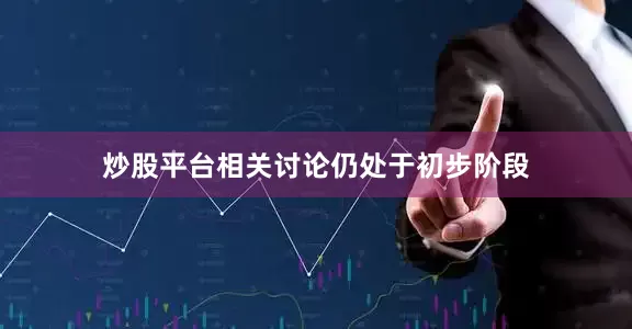 炒股平台相关讨论仍处于初步阶段