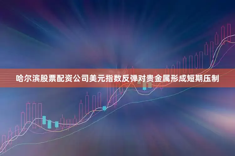 哈尔滨股票配资公司美元指数反弹对贵金属形成短期压制