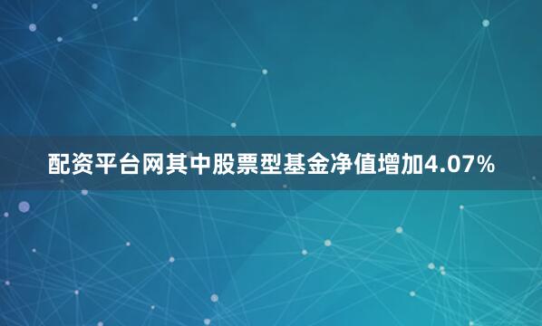 配资平台网其中股票型基金净值增加4.07%